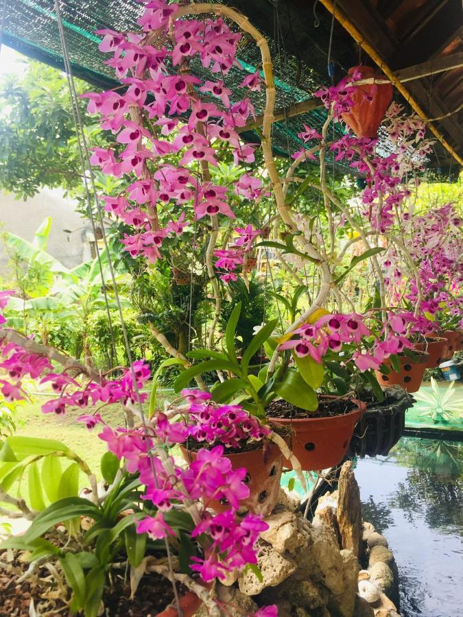 הוי אן Do River Homestay מראה חיצוני תמונה