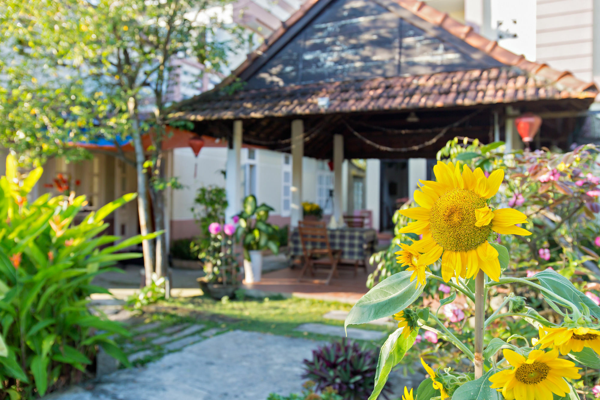 הוי אן Do River Homestay מראה חיצוני תמונה